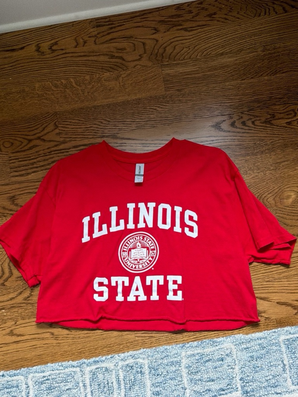 Illinois State T-shirt
ONLY WORN ONCE